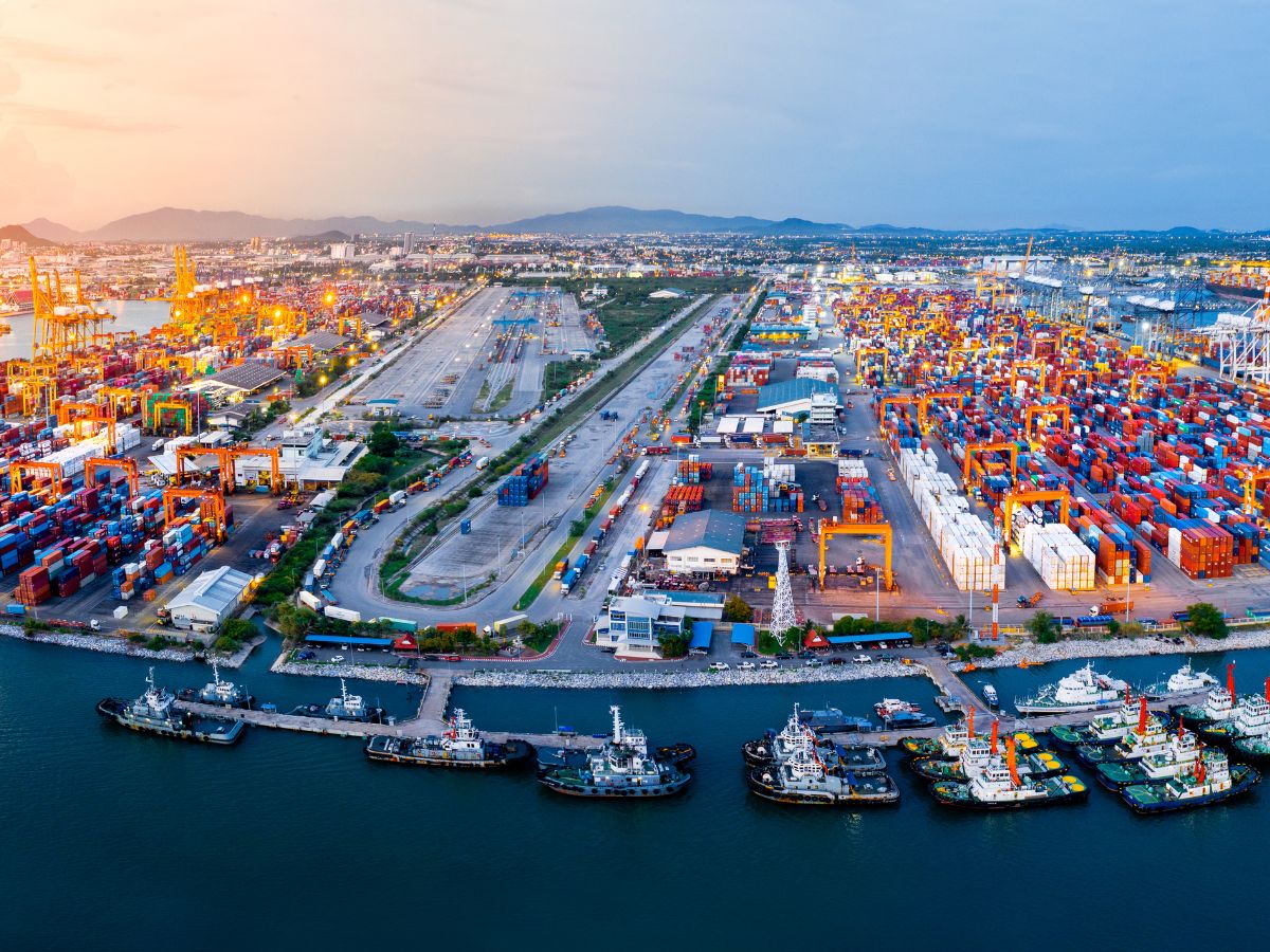 marine port panorama with cranes and ships