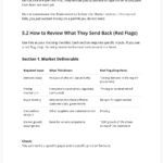 Screenshot of How to Review What Experts Send Back (Red Flags) from AltFin's Feasibility Study Guide